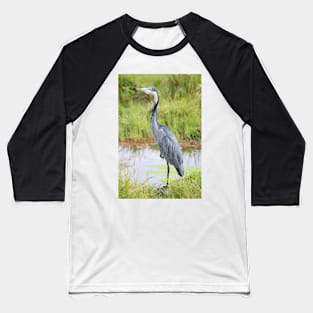 Blue or Black-headed Heron, Kenya Baseball T-Shirt